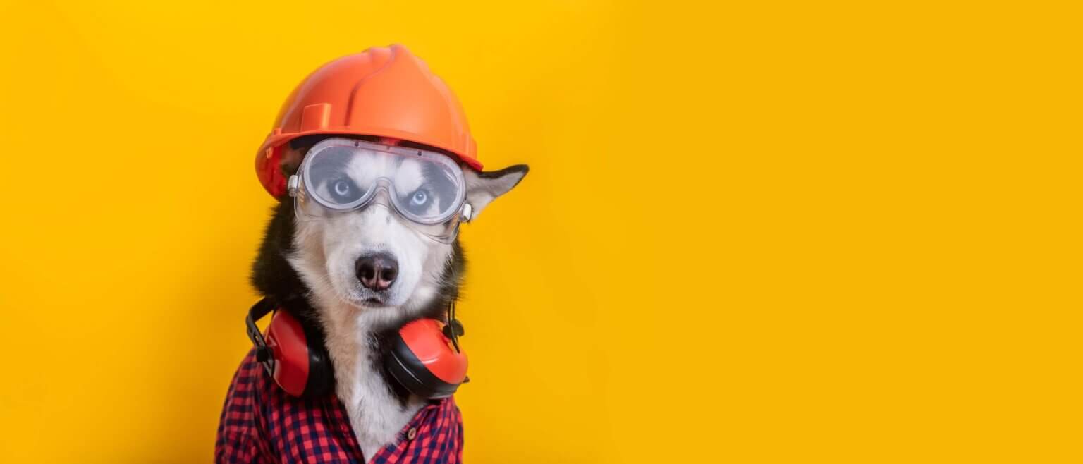 Studio Sloan mascot in hard hat and goggles, ready to build